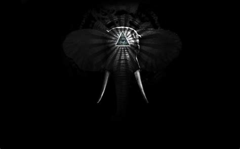 Elephant Iphone Wallpaper 74 Images