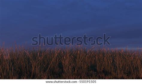 Grassy Hill Sunset Sky Background Realistic Stock Photo 550191505