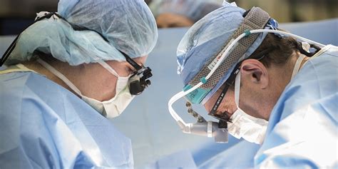 Curriculum Cardiothoracic Surgery Transplant Fellowship Florida