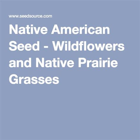 Native American Seed Wildflowers And Native Prairie Grasses Grass My