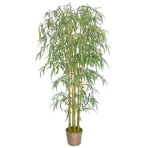 Laura Ashley 6 Ft Tall Realistic Silk Bamboo Tree With Wicker Basket