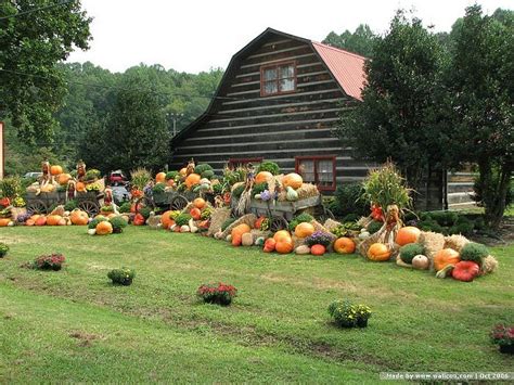 Fall Scenes With Pumpkins Scene Of Pumpkins Fall