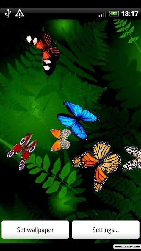 49 Free Live Butterfly Wallpapers