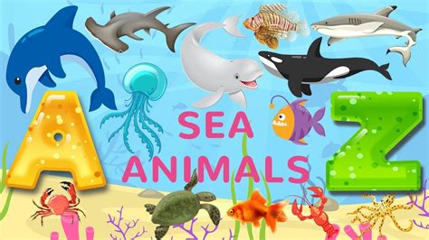 Sea Animals For Kids Learn Water Animals In A To Z Order Youtube