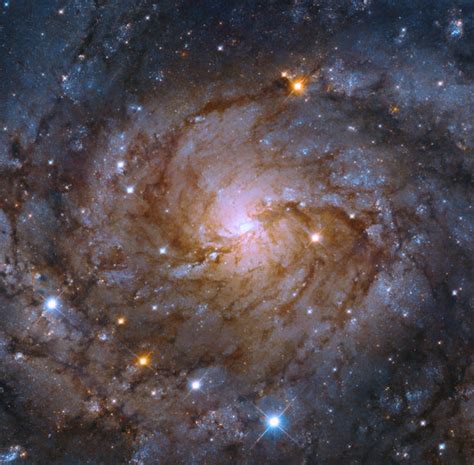 Hubble Looks At Spiral Galaxy Ic 342 Scinews