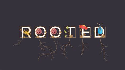 Rooted — Round Rock Church Of Christ