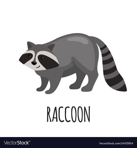 Cute Raccoon In Flat Style Royalty Free Vector Image Boys First