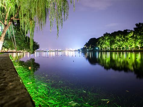 Wallpaper Hangzhou West Lake Night Trees Green Illumination Park