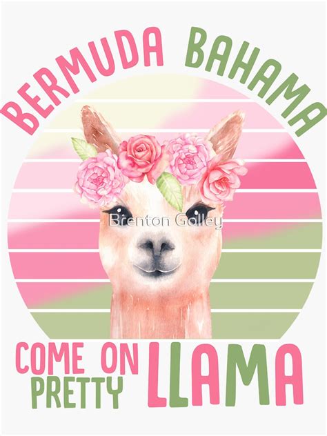 Pretty Llama Sticker By Brenton72 Redbubble