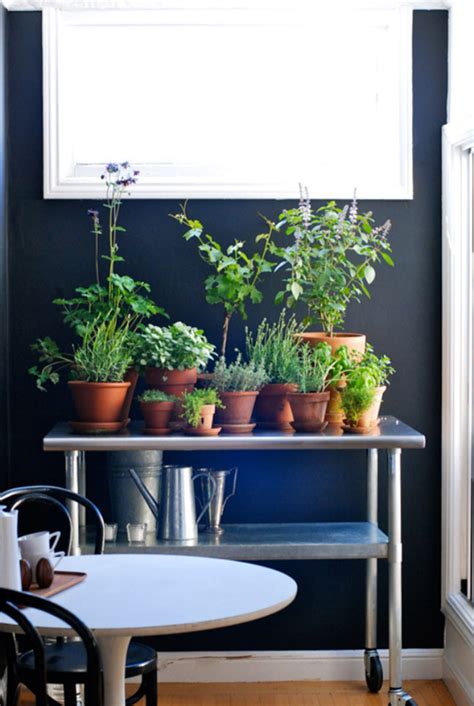 20 Indoor Herb Garden Ideas Homemydesign