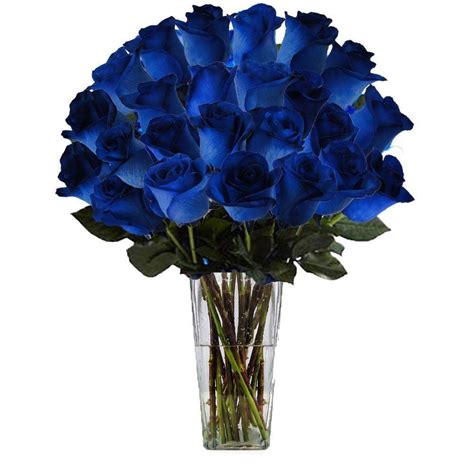 24 Blue Roses Vase Online T And Flowers