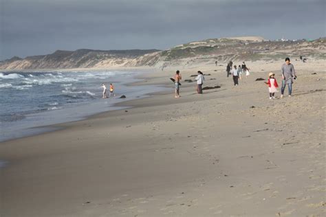 Monterey State Beach Seaside Beach Seaside Ca