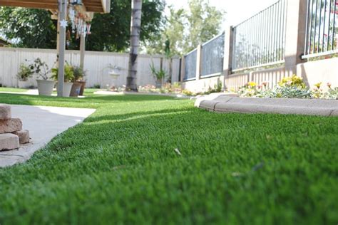 Enjoy A Lush Drought Tolerant Lawn