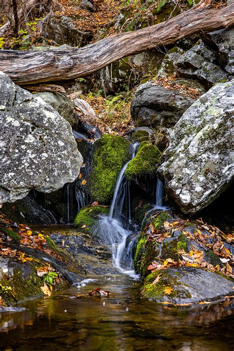 Waterfall Stones Moss Leaves Hd Phone Wallpaper Peakpx