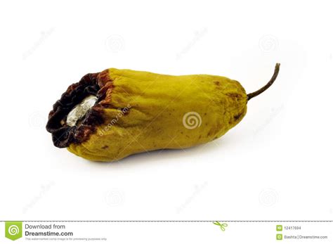 Rotten Pear Stock Images - Image: 12417694