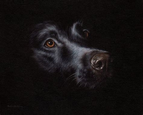 Black Labrador Painting Painting By Rachel Stribbling Fine Art America