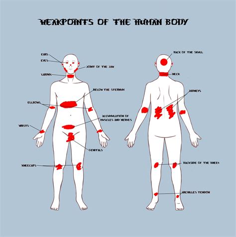 Weakpoints Of The Human Body By Leviathan187 Self Defense Moves Self