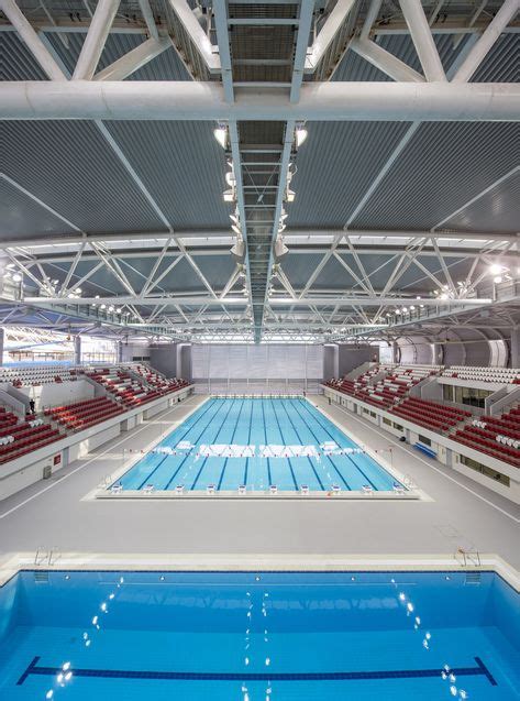 8 Best Olympic Size Swimming Pool Images Olympic Size Swimming Pool