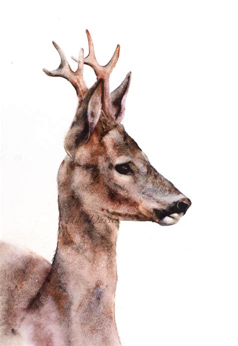 Pin By I Love On Akwarele Watercolor Deer Deer Painting