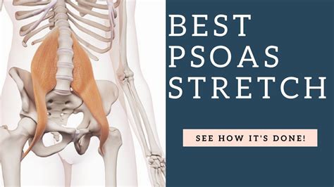 How To Stretch Your Psoas Hip Flexor Muscle Release It Mistakes Shown Youtube
