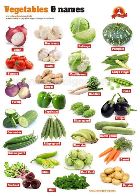 Name List Of Vegetables Fruits And Vegetables Are A Great Source Of