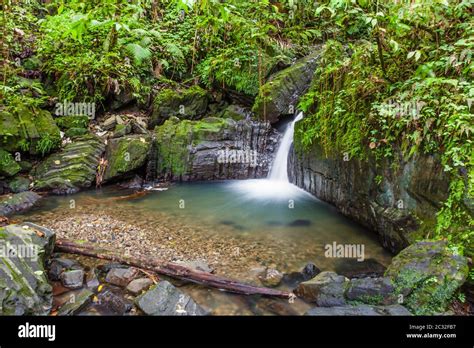 Puerto Rico Rainforest Hi Res Stock Photography And Images Alamy