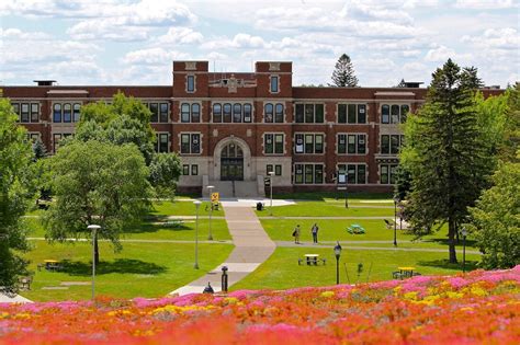 15 Most Affordable Colleges For International Students Best Colleges