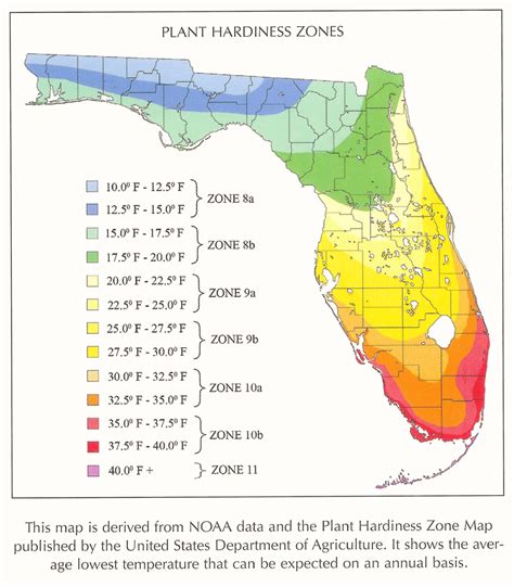 32 Florida Growing Zones Map Maps Database Source