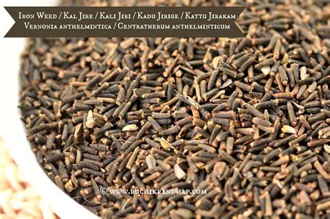 Kaljiryaso Kasai Herbal Kashayam Decoction Of Ironweed Seeds