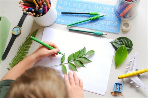 Childrens Plant Art Ideas How To Make Art Projects From Plants