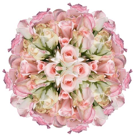 Pastel Roses Online | GlobalRose png image