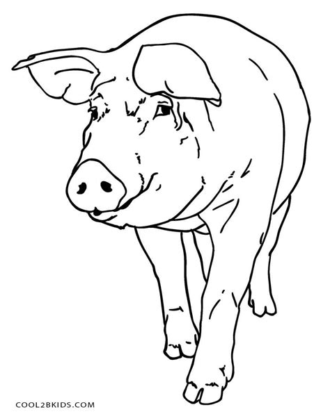 Ausmalbilder Schwein Malvorlagen Kostenlos Zum Ausdrucken
