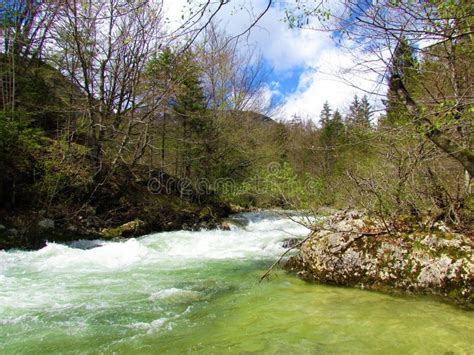 Scenic Mostnica River At Mostnica Gorge Near Bohinj In Gorenjska