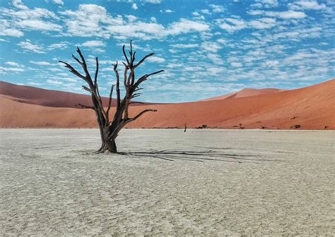 Namibia has thousands of miles of unpaved roads.road accidents, particularly on gravel roads, pose the most serious threat to visitors. Viaggio in Namibia: Sossusvlei, Deadvlei e Sesriem Canyon ...