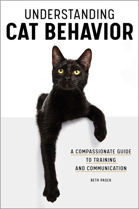 Understanding Cat Behavior Book By Beth Pasek Official Publisher