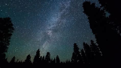 Download Wallpaper 2048x1152 Milky Way Stars Starry Sky Night Trees