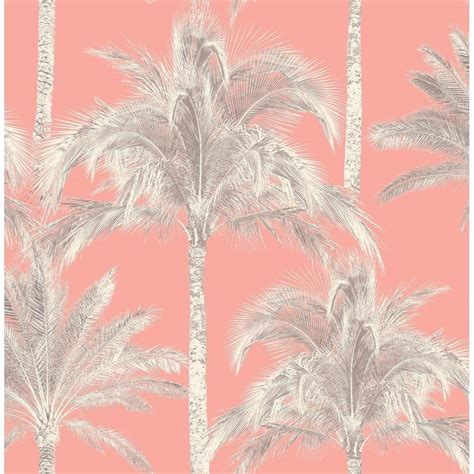 Miami Pink Wallpapers Top Free Miami Pink Backgrounds Wallpaperaccess