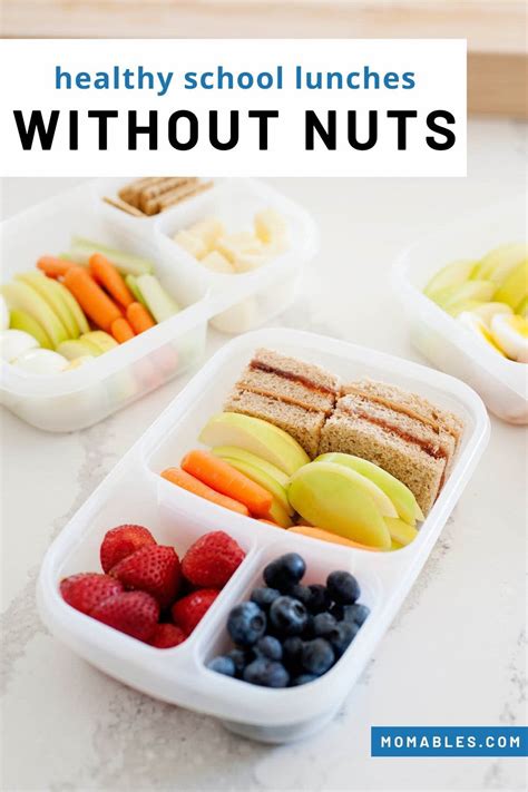 10 Nut Free School Lunch Ideas Momables Easy Lunches
