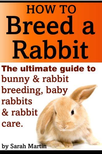 How To Breed A Rabbit The Ultimate Guide To Bunny And Rabbit Breeding