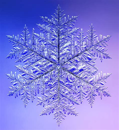 Monster Snowflake Snow Crystal Snowflakes Snowflake Wallpaper