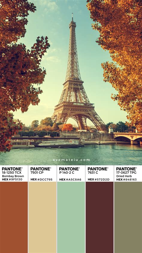 Decor Color Palette Color Palette Bright Colour Pallette Bright