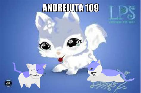 Lps Husky And Cat Littlest Pet Shop Club Fan Art 35141600 Fanpop