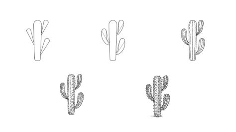 How To Draw A Realistic Cactus 5 Easy Steps Jae Johns