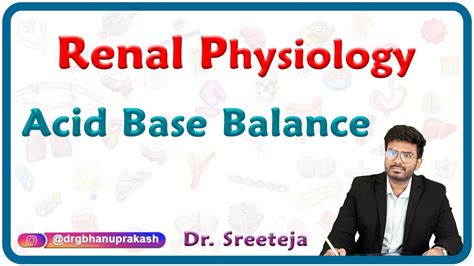 Physiology Of Acid Base Balance Renal Physiology USMLE Step 1 YouTube