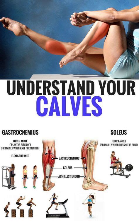 11 Calf Stretches Ideas Calf Stretches Calf Muscles Calf Exercises