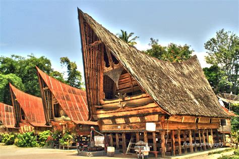 Kliping rumah adat pakaian adat tarian a. Sabrina: Sejarah Rumah Bolon