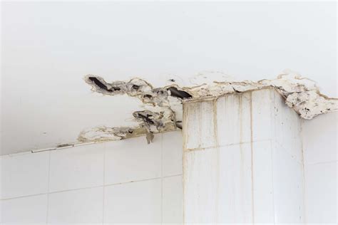 Common Causes Of Ceiling Damage Our Top Tips Checkatrade