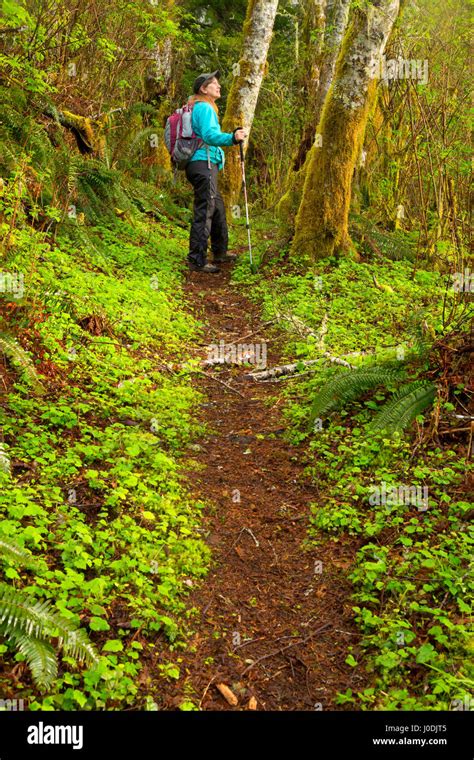 Battle Lake Trail Siuslaw National Forest Oregon Stock Photo Alamy