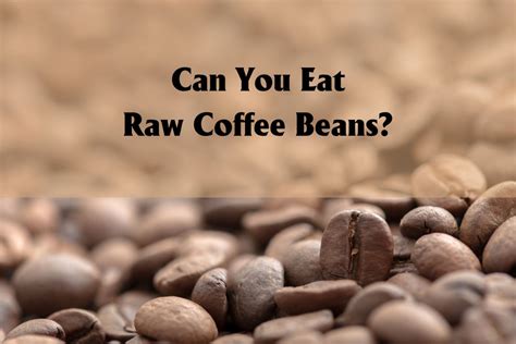 Can You Eat Raw Coffee Beans Potential Benefits Of This Helena