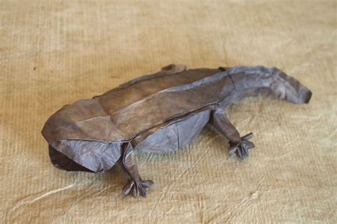 The trinity alps giant salamander is an alleged giant salamander found in the trinity alps in california. 【Origami】Giant Japanese Salamander (Designed by Takashi ...